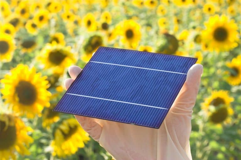 Ranking mejor valor paneles solares 2025 con JA Solar campeón 4.85 kW por dólar - imagen referencial